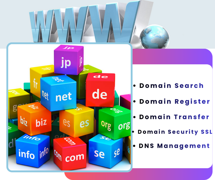 sdominio services p1